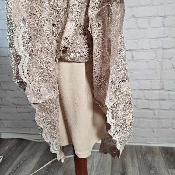 NWT $90 J. Taylor Lace Sequin Cocktail Dress, Size 12, Taupe/beige - Picture 7 of 11